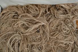 Jute Fiber